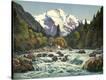 Stretched Canvas Print