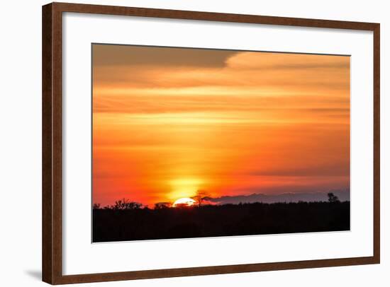 Gorgeous African Sunset in Kruger National Park-Stephen Lew-Framed Photographic Print