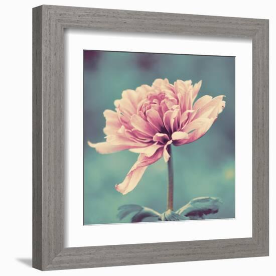 Gorgeous Pink-Gail Peck-Framed Art Print