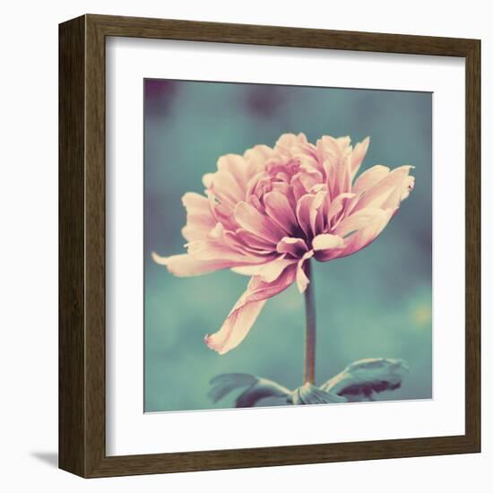 Gorgeous Pink-Gail Peck-Framed Art Print