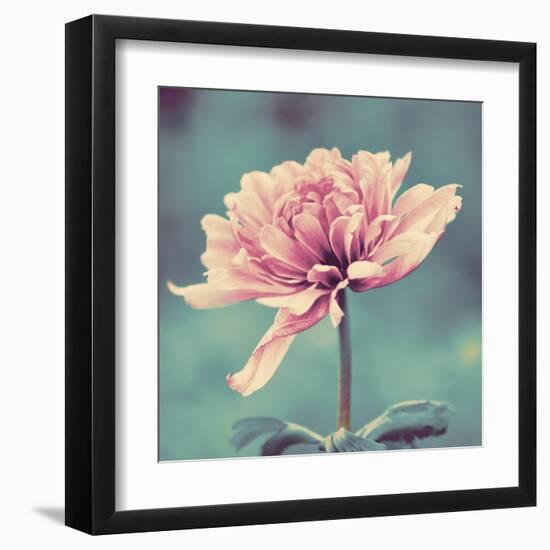 Gorgeous Pink-Gail Peck-Framed Art Print