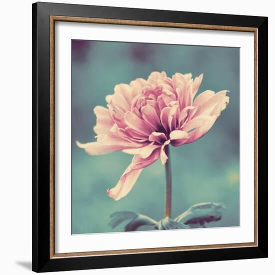 Gorgeous Pink-Gail Peck-Framed Art Print