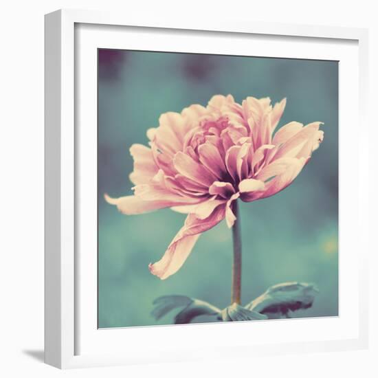 Gorgeous Pink-Gail Peck-Framed Art Print