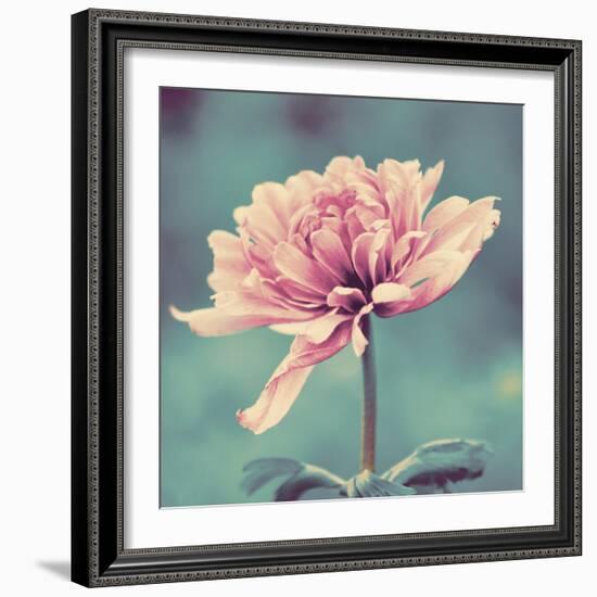 Gorgeous Pink-Gail Peck-Framed Art Print