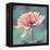 Gorgeous Pink-Gail Peck-Framed Stretched Canvas