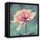 Gorgeous Pink-Gail Peck-Framed Stretched Canvas