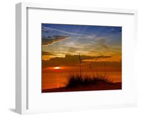 Gorgeous Sunset-Melanie Viola-Framed Art Print