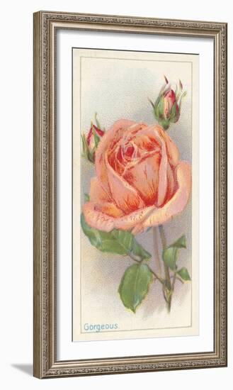 Gorgeous-The Vintage Collection-Framed Giclee Print