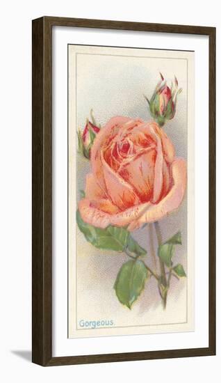 Gorgeous-The Vintage Collection-Framed Giclee Print