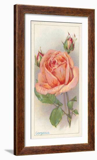 Gorgeous-The Vintage Collection-Framed Giclee Print