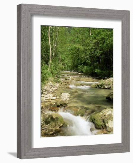 Gorges d'Omblez, Near La Chapelle En Vercors, Drome, Rhone Alpes, France-Michael Busselle-Framed Photographic Print