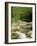 Gorges d'Omblez, Near La Chapelle En Vercors, Drome, Rhone Alpes, France-Michael Busselle-Framed Photographic Print