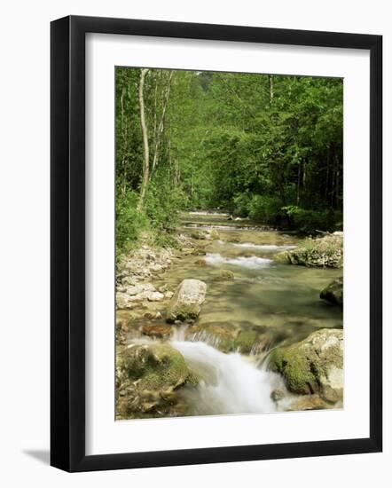 Gorges d'Omblez, Near La Chapelle En Vercors, Drome, Rhone Alpes, France-Michael Busselle-Framed Photographic Print