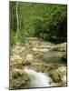 Gorges d'Omblez, Near La Chapelle En Vercors, Drome, Rhone Alpes, France-Michael Busselle-Mounted Photographic Print