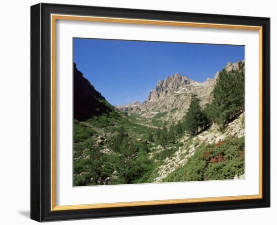 Gorges De La Restonica, Bergerie De Grottelle, Corsica, France-Yadid Levy-Framed Photographic Print