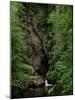 Gorges of the River Cere, Cantal Mountains, Auvergne, France-Peter Higgins-Mounted Photographic Print