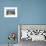 Gorgonians and Reef-Building Corals Near the Blue Hole in Belize-Stocktrek Images-Framed Photographic Print displayed on a wall