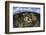 Gorgonians and Reef-Building Corals Near the Blue Hole in Belize-Stocktrek Images-Framed Photographic Print