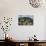 Gorgonians and Reef-Building Corals Near the Blue Hole in Belize-Stocktrek Images-Photographic Print displayed on a wall