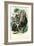 Gorilla, 1863-79-Raimundo Petraroja-Framed Giclee Print