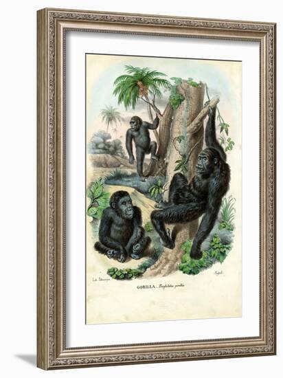 Gorilla, 1863-79-Raimundo Petraroja-Framed Giclee Print