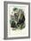 Gorilla, 1863-79-Raimundo Petraroja-Framed Giclee Print