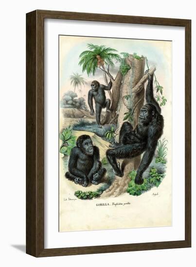 Gorilla, 1863-79-Raimundo Petraroja-Framed Giclee Print