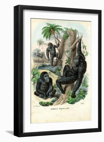 Gorilla, 1863-79-Raimundo Petraroja-Framed Giclee Print