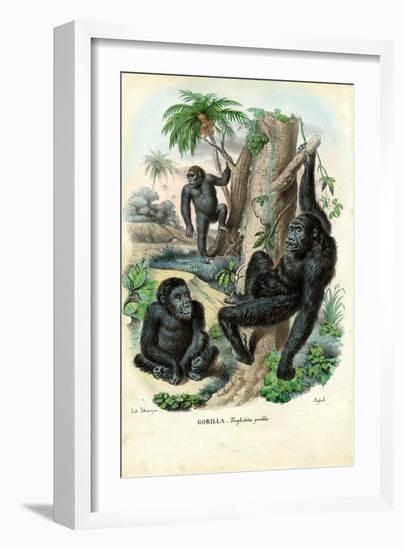 Gorilla, 1863-79-Raimundo Petraroja-Framed Giclee Print