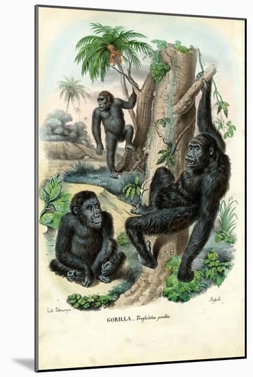 Gorilla, 1863-79-Raimundo Petraroja-Mounted Giclee Print