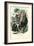 Gorilla, 1863-79-Raimundo Petraroja-Framed Giclee Print