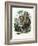 Gorilla, 1863-79-Raimundo Petraroja-Framed Giclee Print