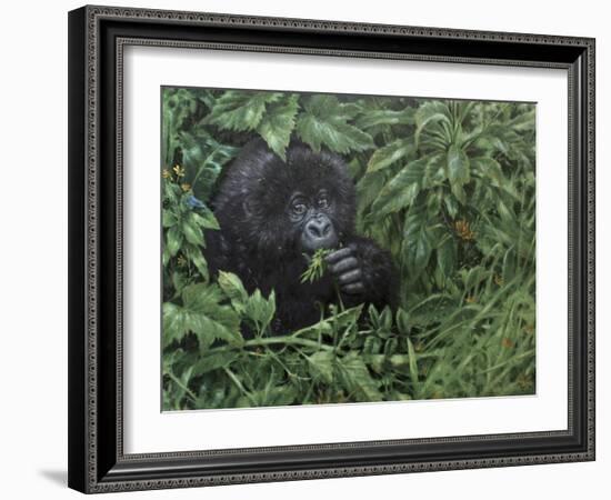 Gorilla 1-Michael Jackson-Framed Giclee Print