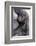 Gorilla Baby, Gorilla Mother-Ronald Wittek-Framed Photographic Print