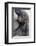 Gorilla Baby, Gorilla Mother-Ronald Wittek-Framed Photographic Print