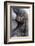 Gorilla Baby, Gorilla Mother-Ronald Wittek-Framed Photographic Print