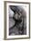 Gorilla Baby, Gorilla Mother-Ronald Wittek-Framed Photographic Print