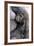 Gorilla Baby, Gorilla Mother-Ronald Wittek-Framed Photographic Print