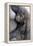 Gorilla Baby, Gorilla Mother-Ronald Wittek-Framed Premier Image Canvas