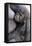 Gorilla Baby, Gorilla Mother-Ronald Wittek-Framed Premier Image Canvas