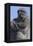 Gorilla Cradling Baby-DLILLC-Framed Premier Image Canvas