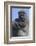 Gorilla Cradling Baby-DLILLC-Framed Photographic Print