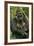 Gorilla Cuddles Baby-null-Framed Photographic Print