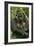 Gorilla Cuddles Baby-null-Framed Photographic Print