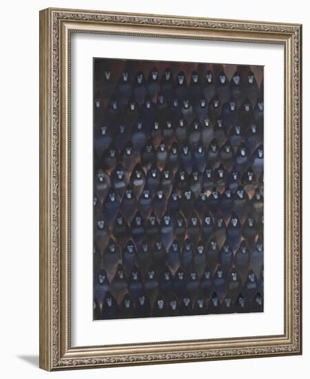 Gorilla Gig, 2016-Holly Frean-Framed Giclee Print