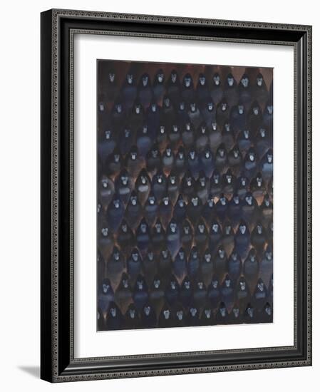 Gorilla Gig, 2016-Holly Frean-Framed Giclee Print
