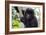 Gorilla In Rwanda-Karine Aigner-Framed Photographic Print