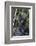 Gorilla mother with 6-month-old baby in the forest, Parc National des Volcans, Rwanda-Keren Su-Framed Photographic Print