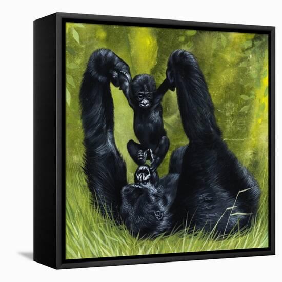 Gorilla Playing with Baby-David Nockels-Framed Premier Image Canvas