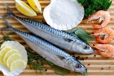 Seafood, Fish - Fresh Mackerel and Shrimps in Cuisine-Gorilla-Photographic Print